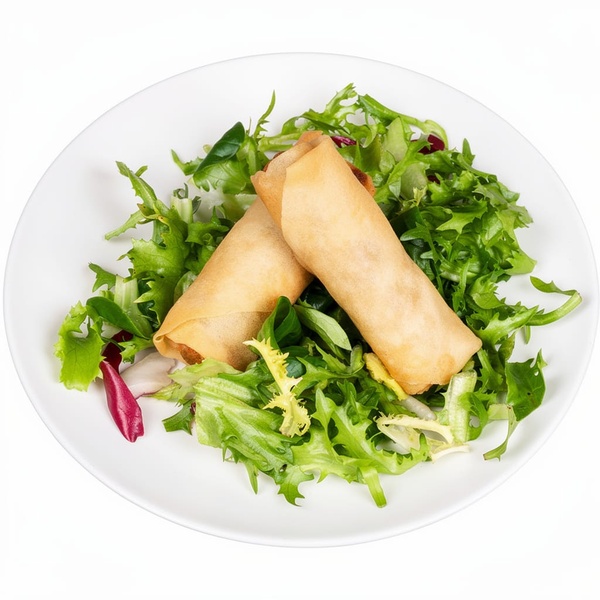 Rollito de VEGETAL.